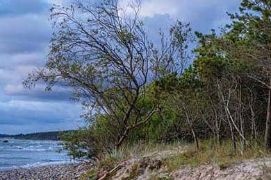 Vietnam & Ant International Forge Digital Economy Alliance: Unlocking Ho Chi Minh City's Fintech Powerhouse Potential