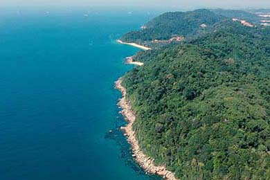 Vietnam & Ant International Forge Digital Economy Alliance: Unlocking Ho Chi Minh City's Fintech Powerhouse Potential